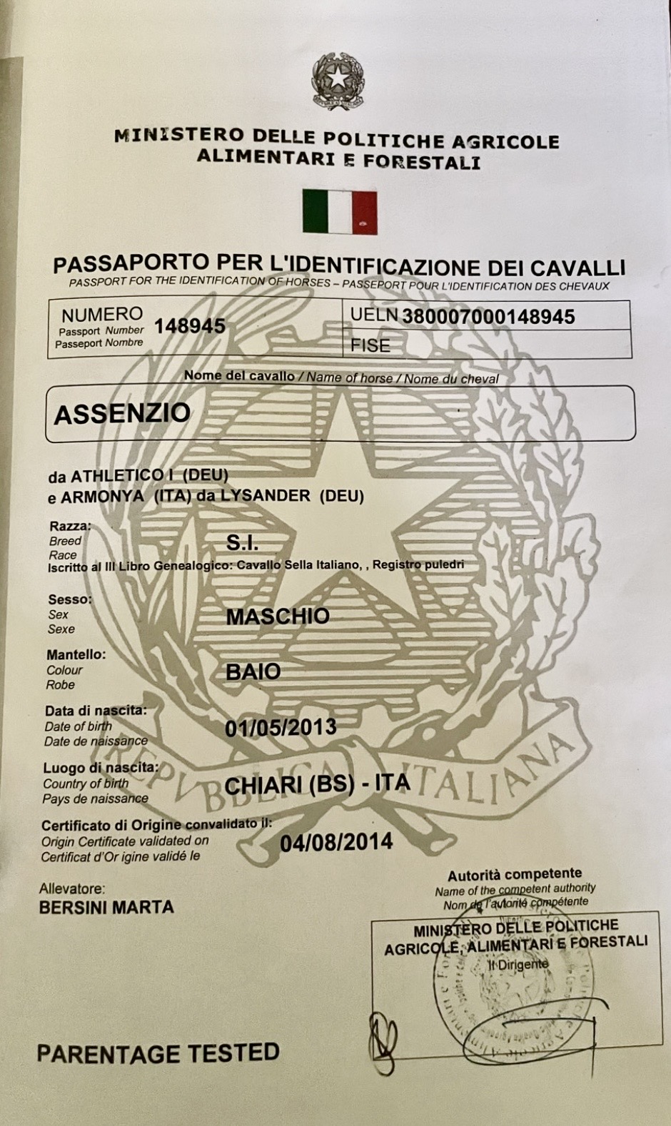 ASSENZIO