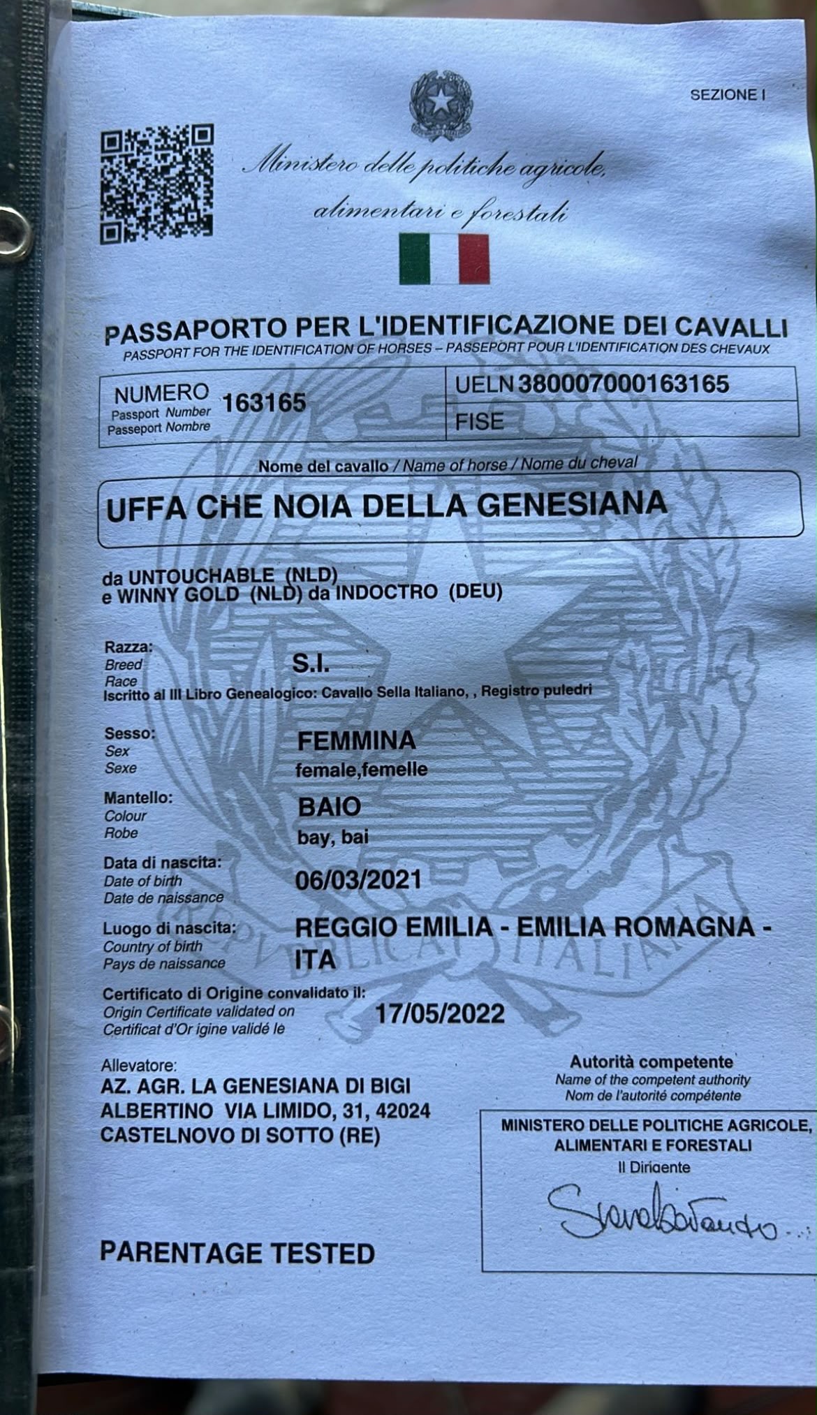 Uffa che noia della genesania