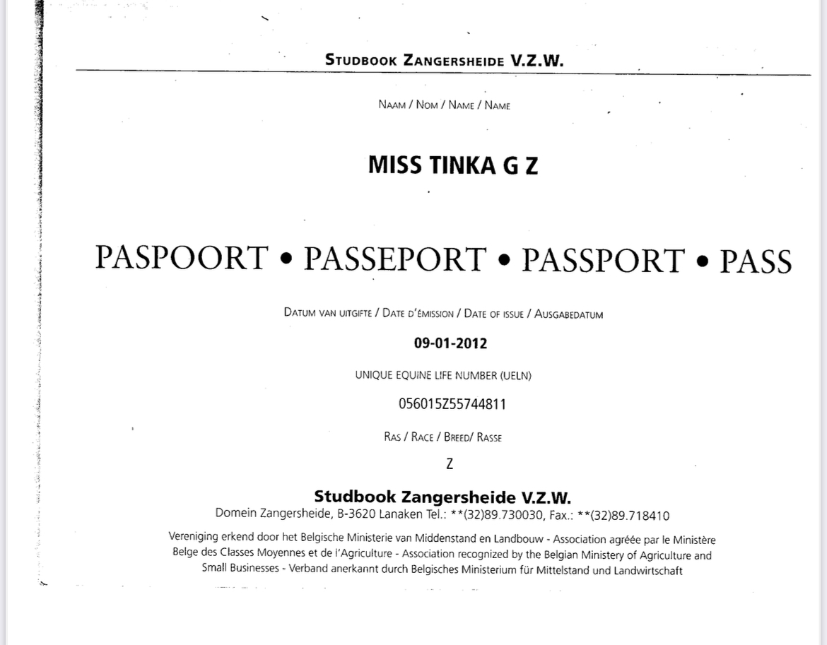 Miss Tinka g z