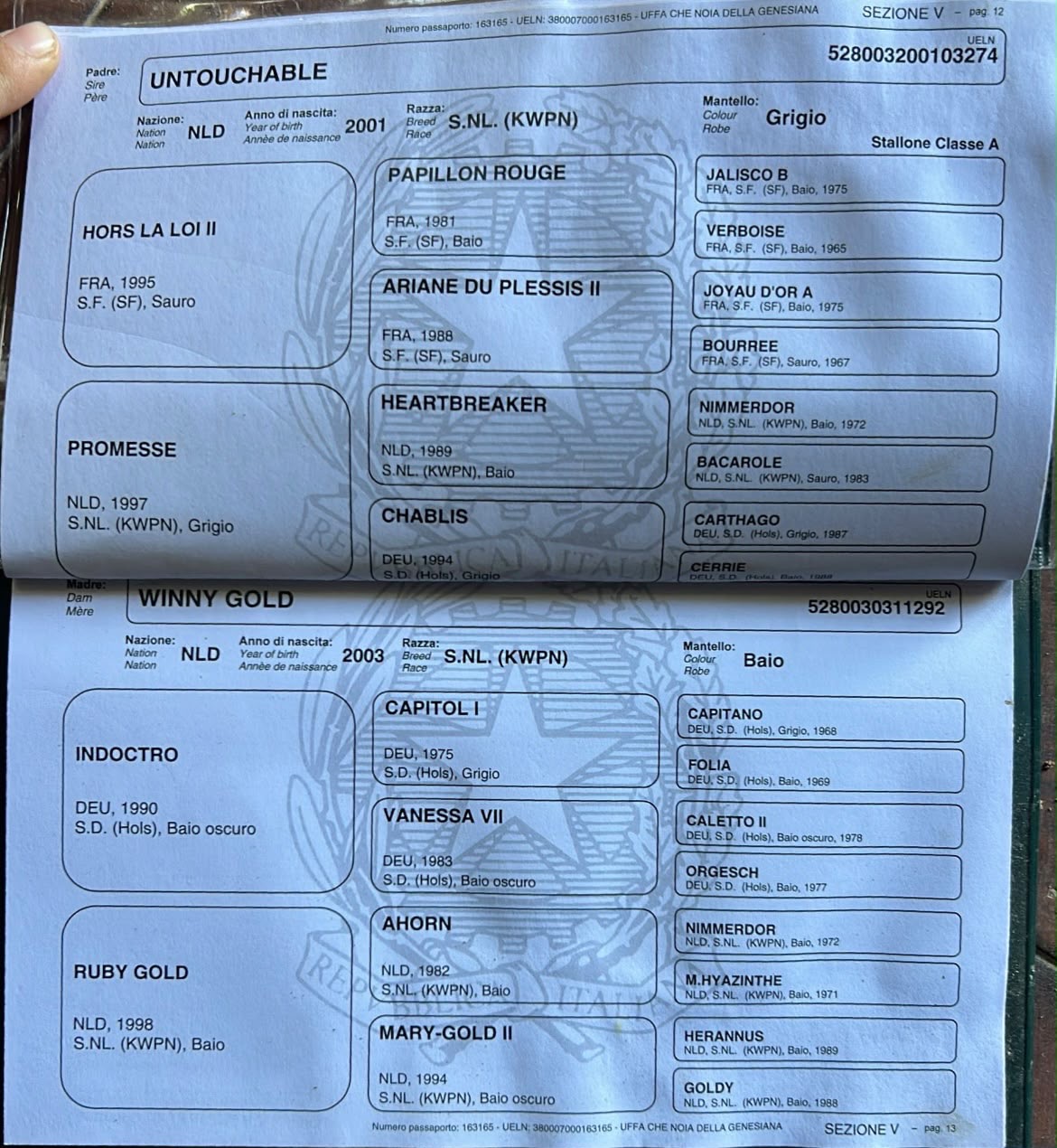 Uffa che noia della genesania