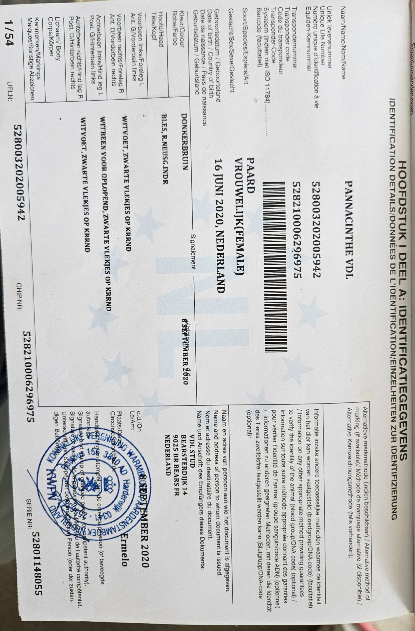 Pannacinchte vdl