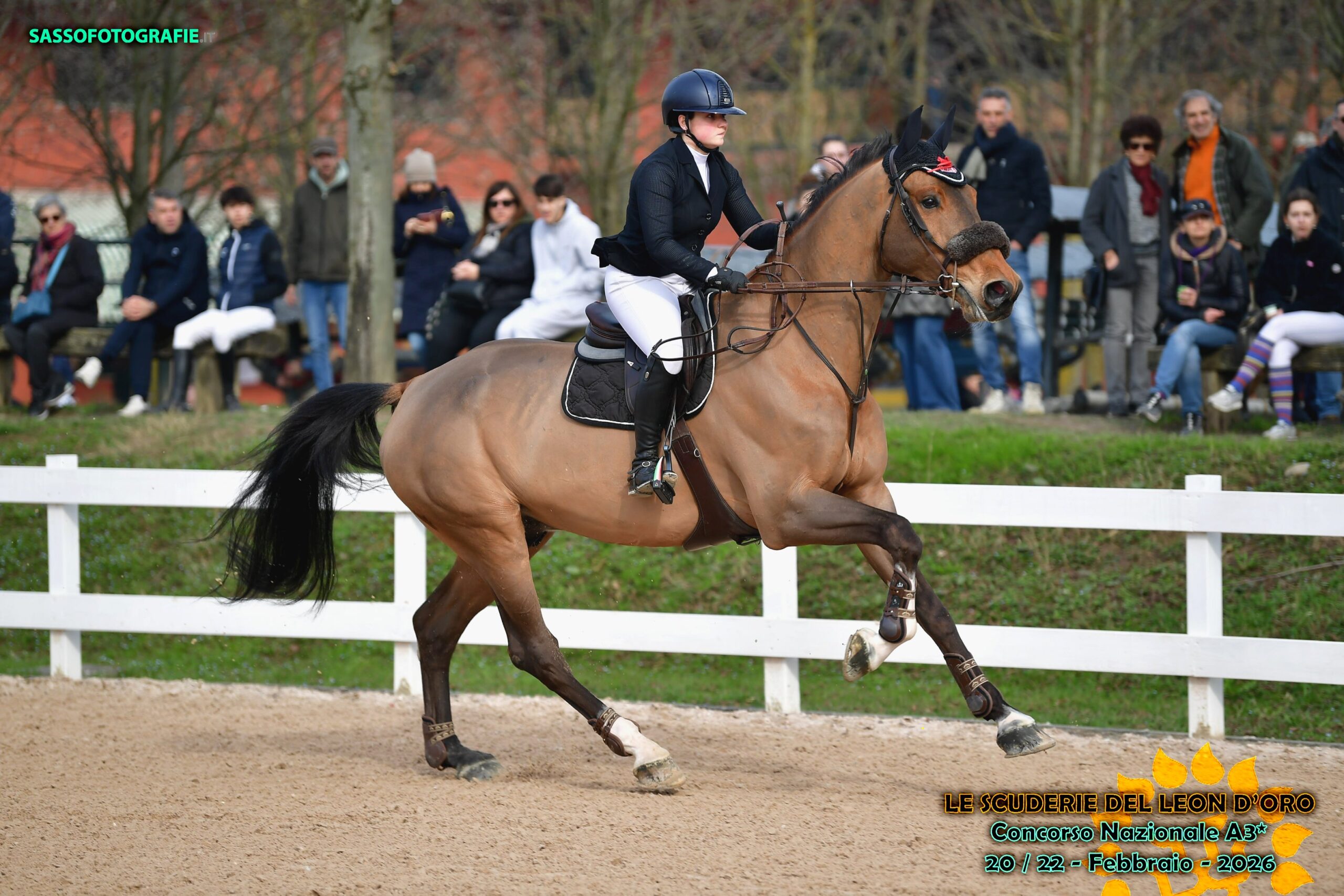 46_Domenica - Dom GP C140 gran premio