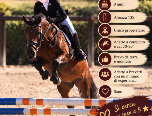 Artù