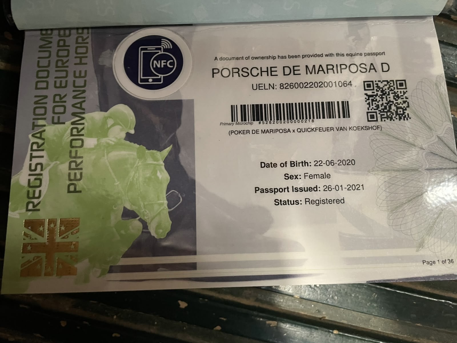 Porsche de Mariposa D