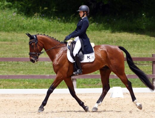 Leprince de quidam
