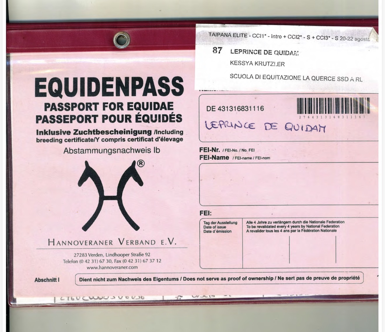 Leprince de quidam