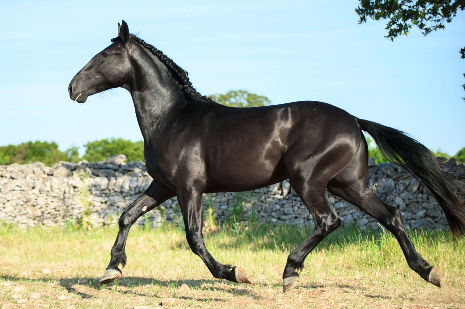 UXARO P.M (7)
