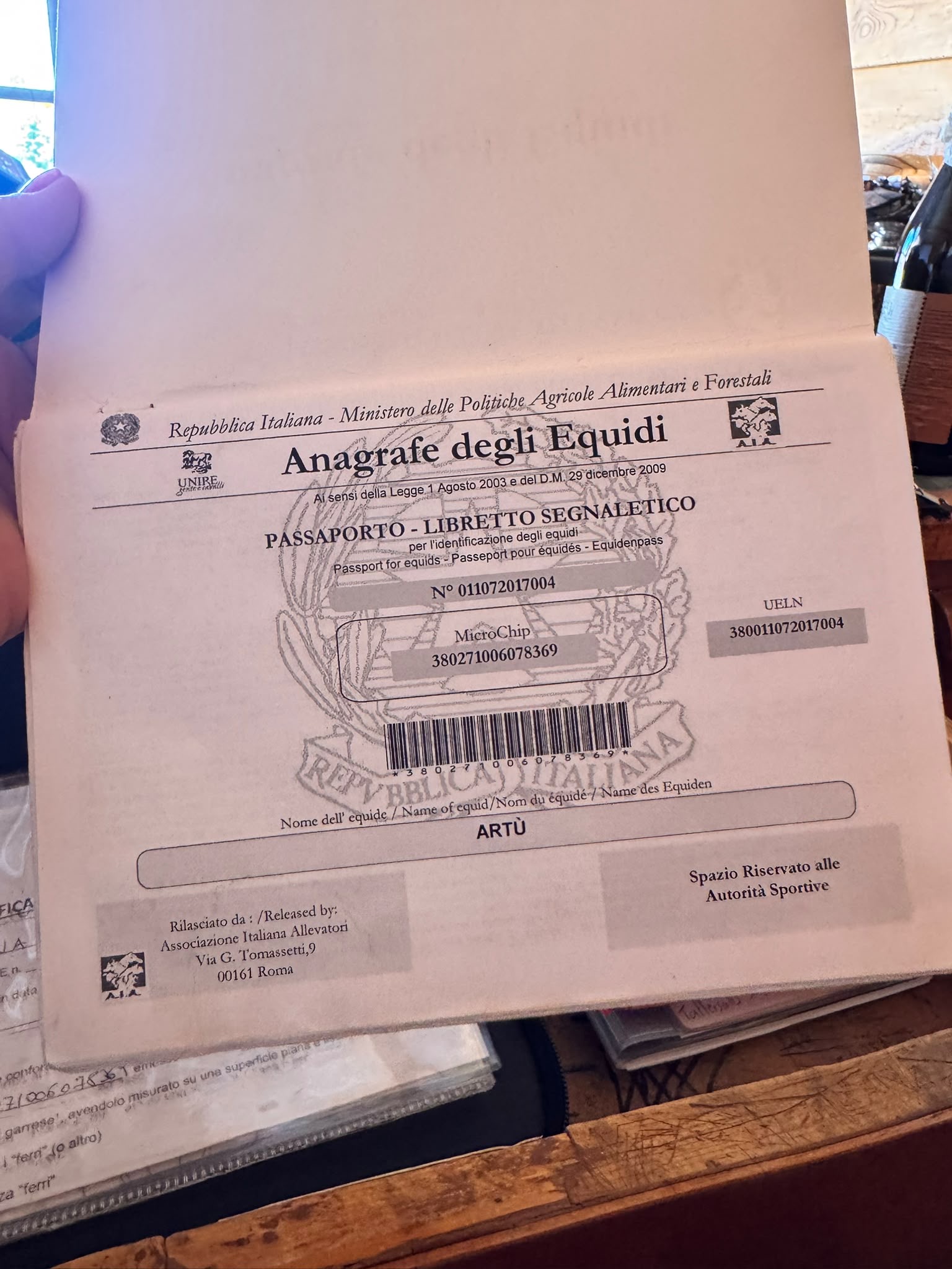 Artù