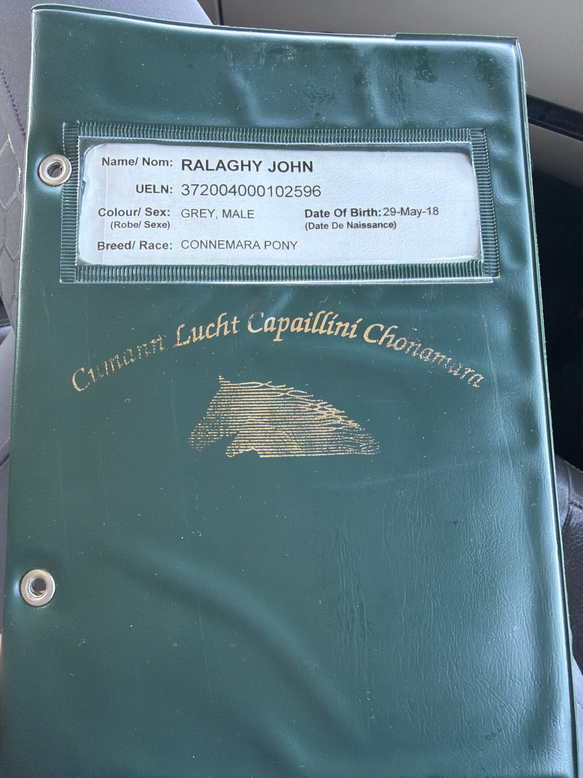 Ralaghy John