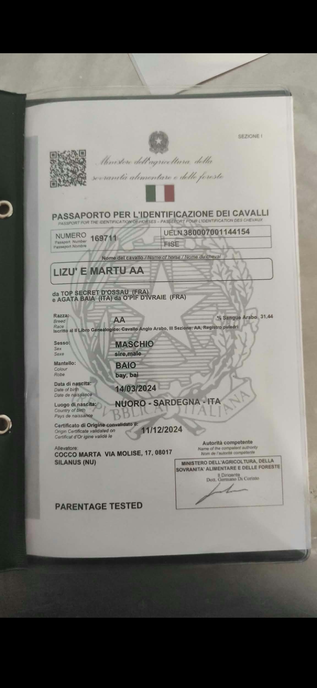 Lizu’ e Martu