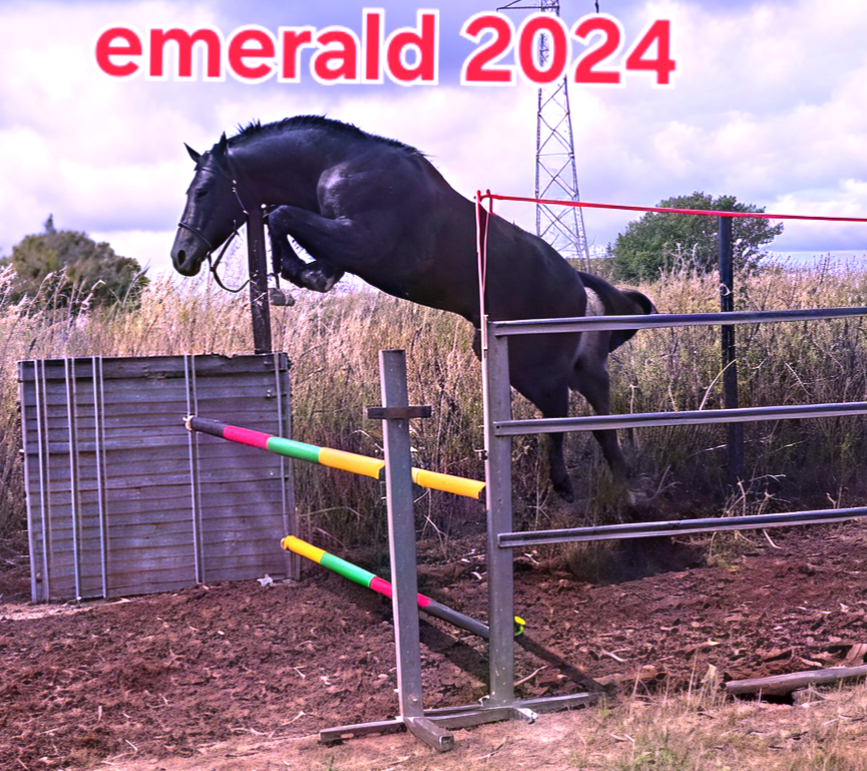 Emerald